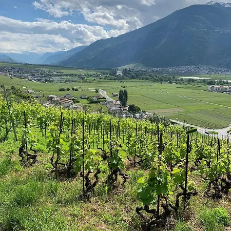 Bains, Randos, Velo, & Vignes * Saillon